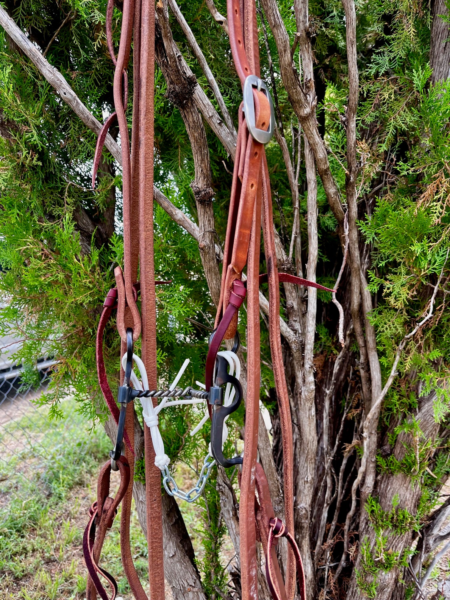 Bridle - Argentine Snaffle Rig