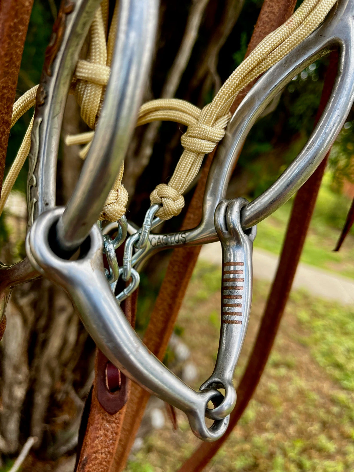 Bridles