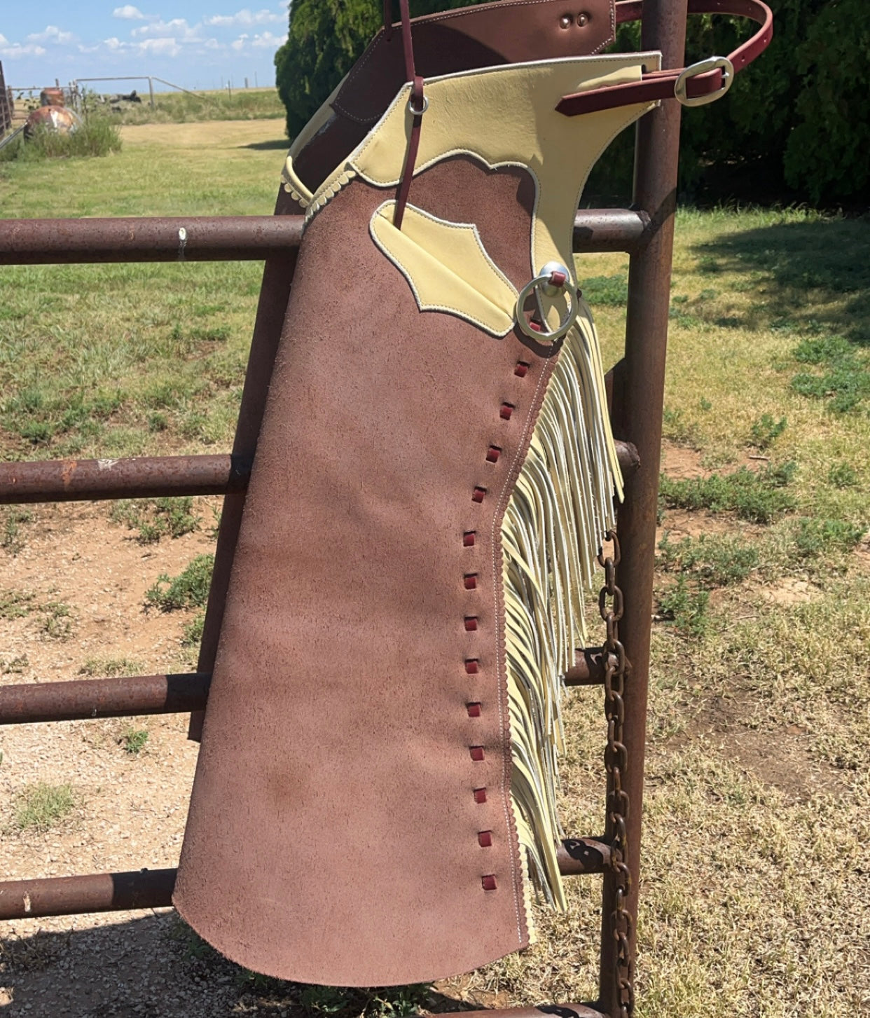 Arizona bells #60