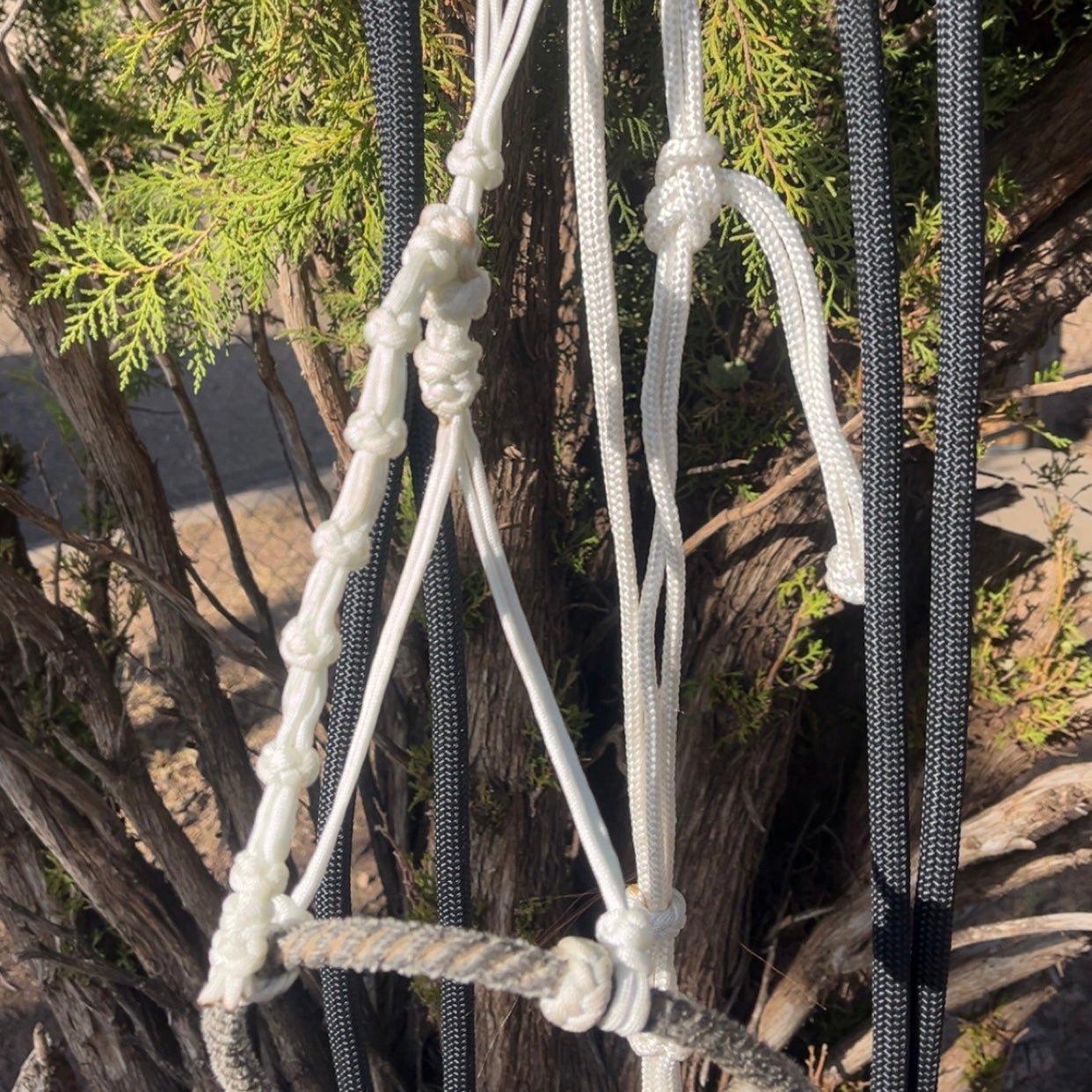 CN Hackamore - white hangar w/ nose buttons