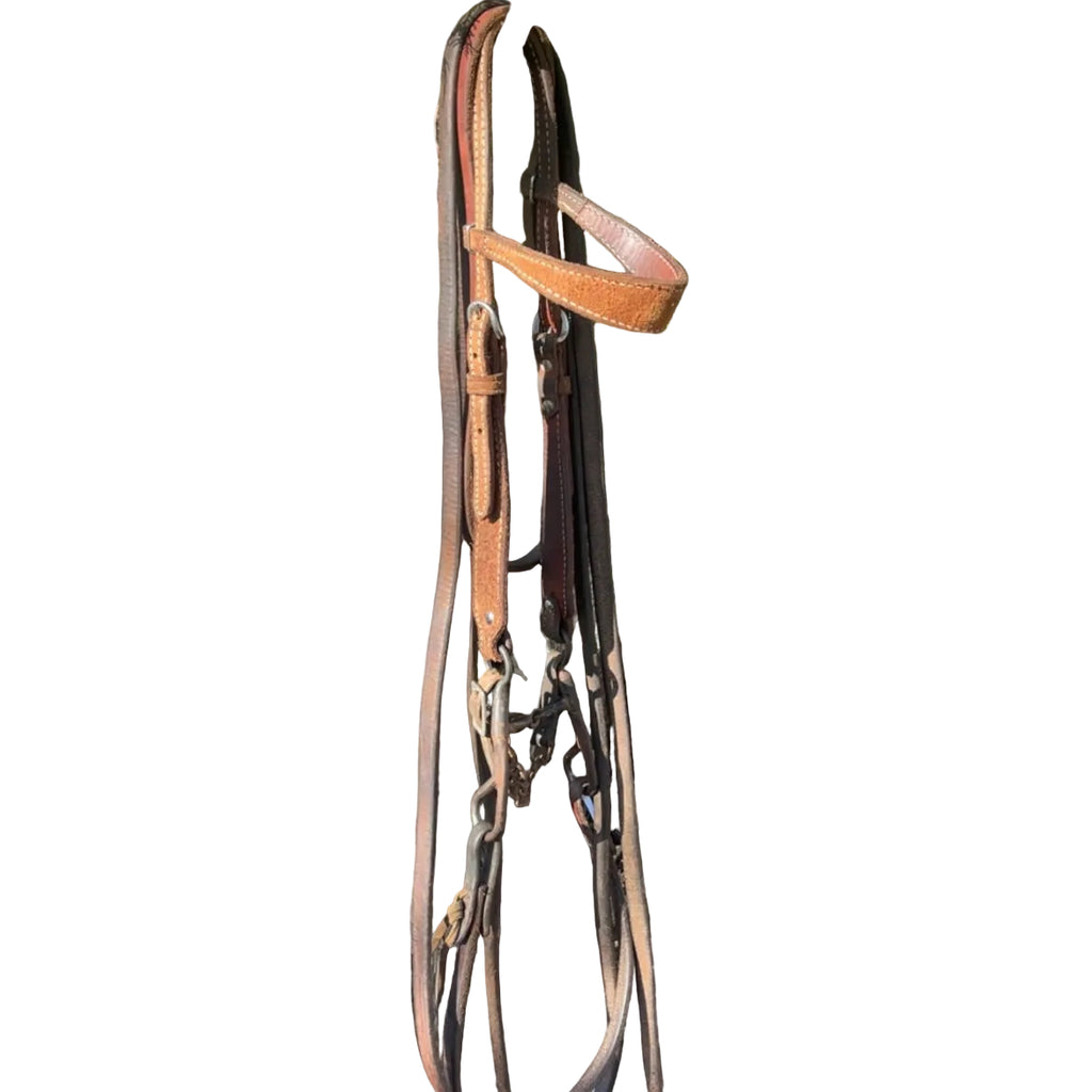Bridle - No MM Dogbone