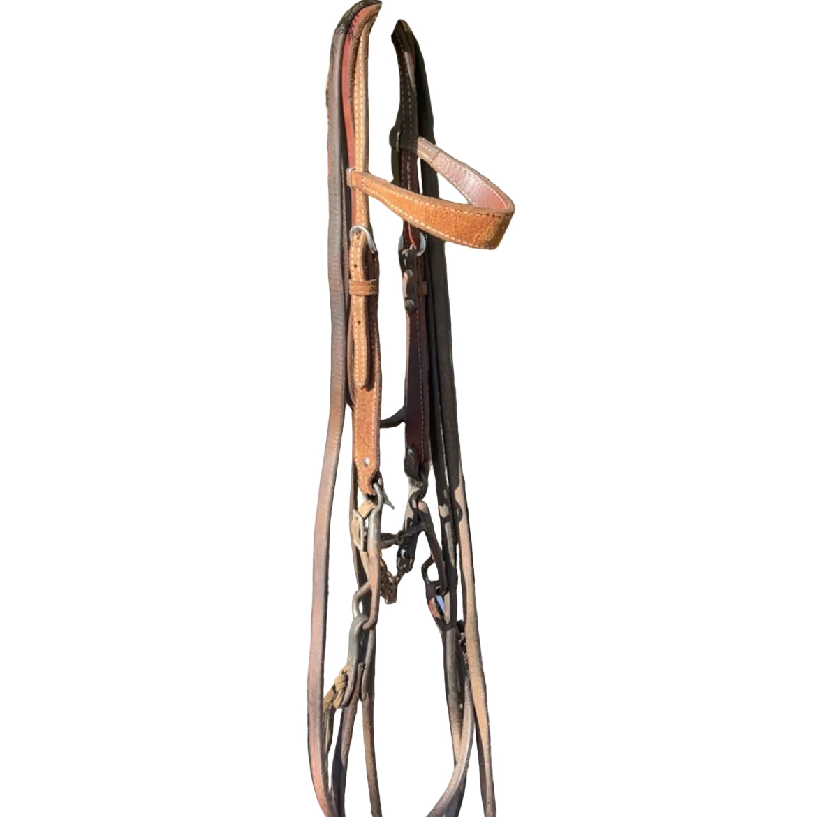 Bridle - No MM Dogbone