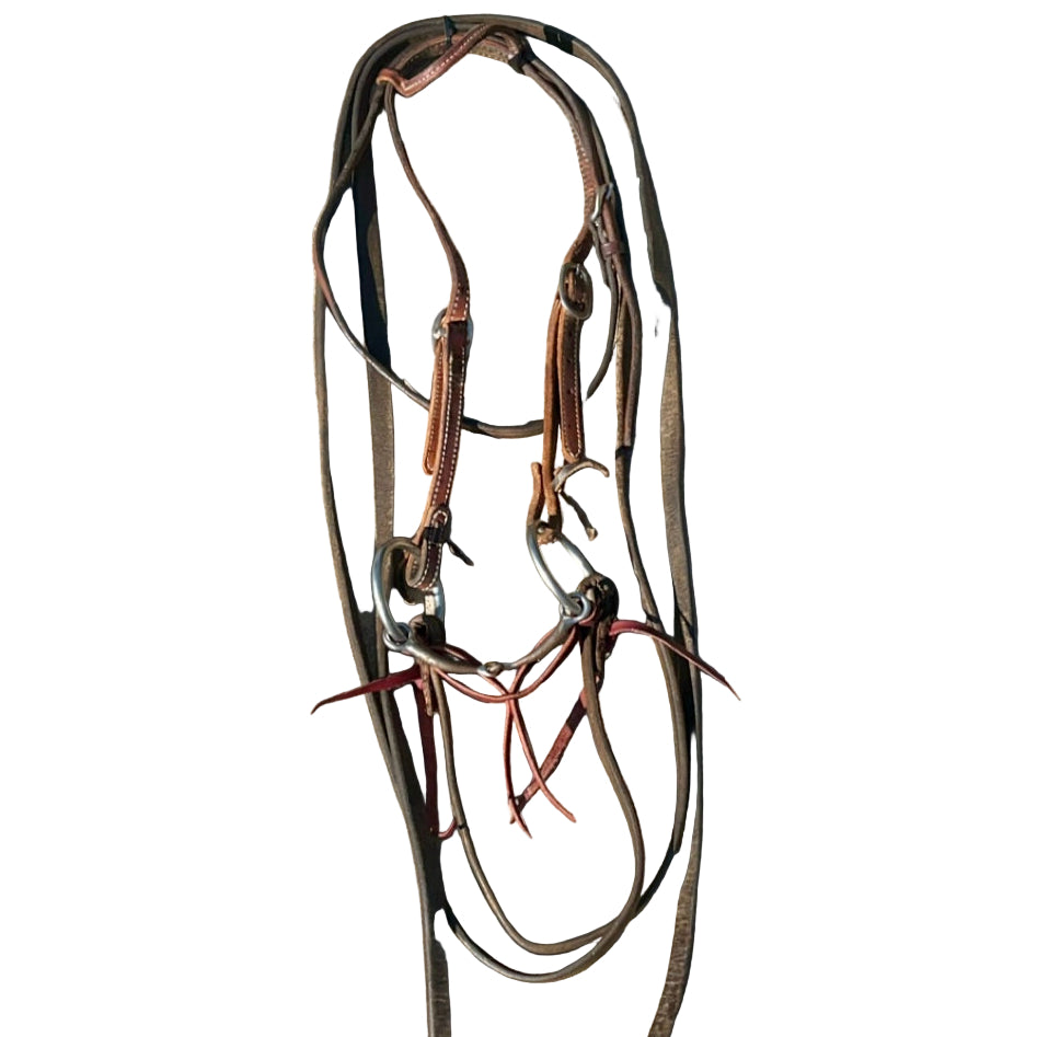 Bridal - Used O-ring snaffle rig