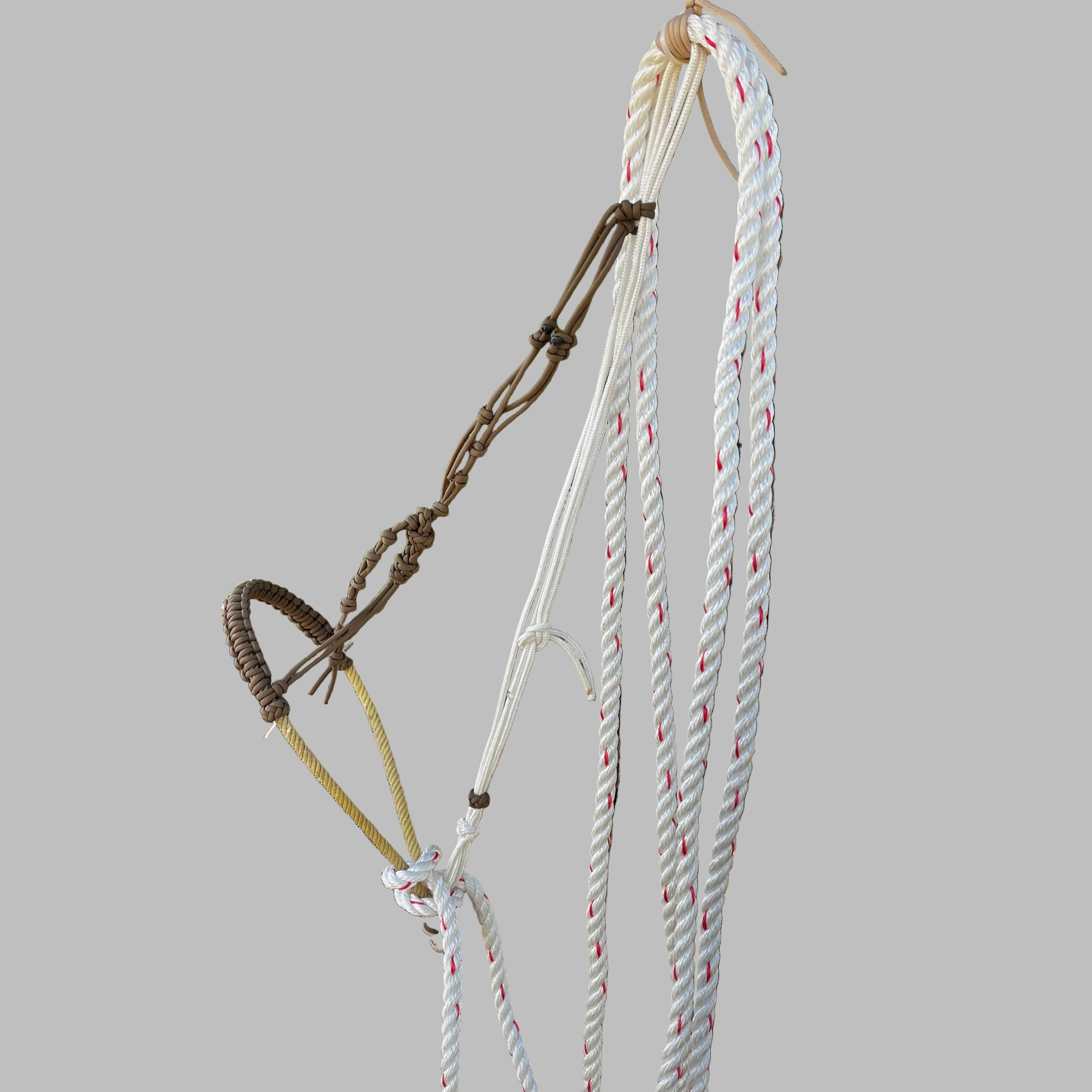 CN Hackamore - Brown Crowsfoot hack
