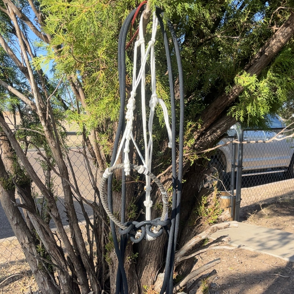 CN Hackamore - white hangar w/ nose buttons