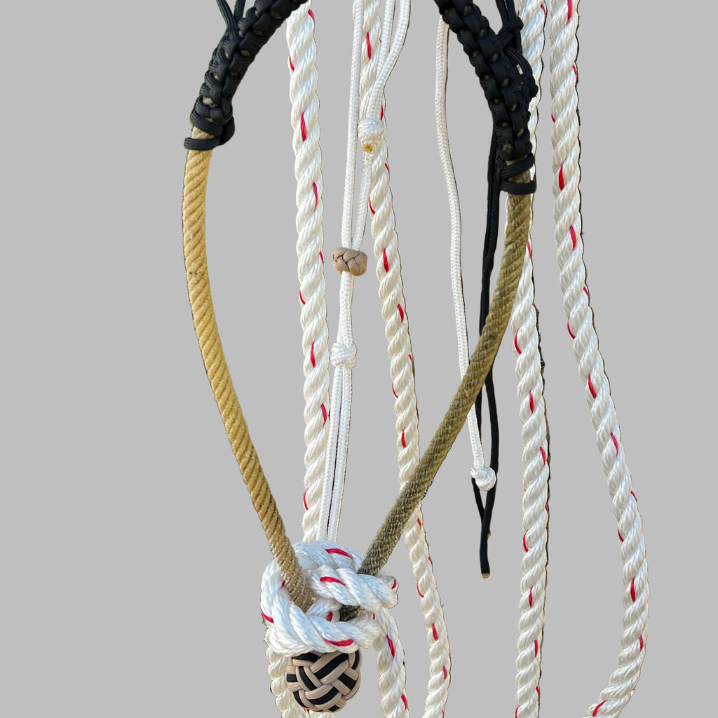 CN Hackamore - Black hangar w/ latigo brow