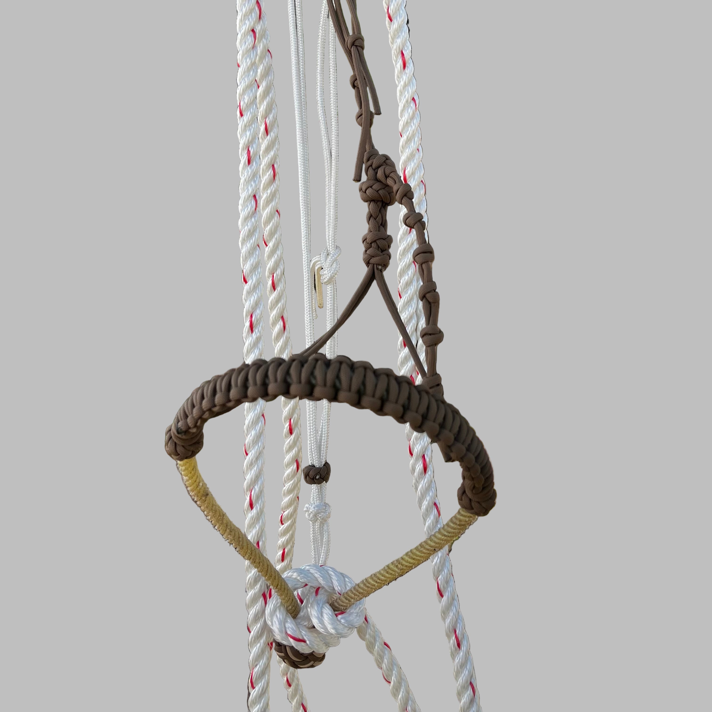 CN Hackamore - Brown Crowsfoot hack
