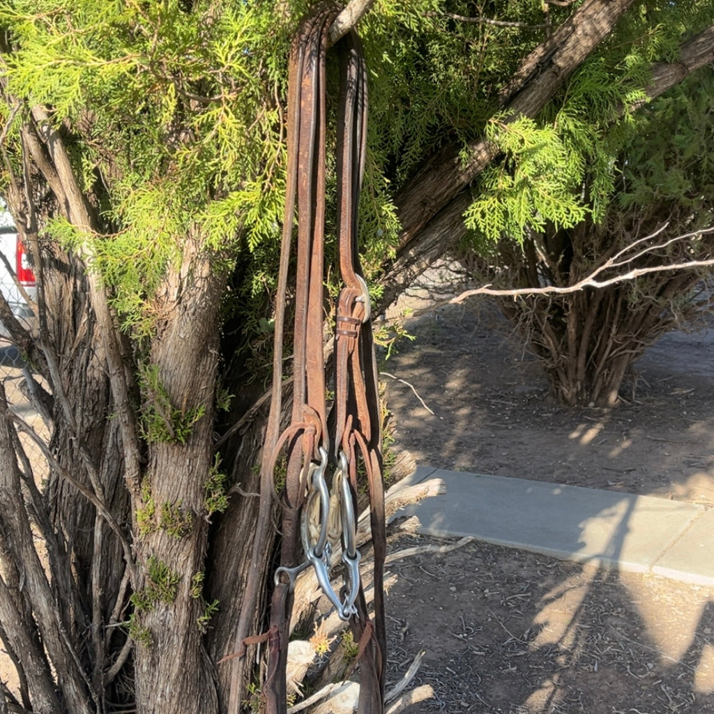 Bridle - Cactus Slide Gag
