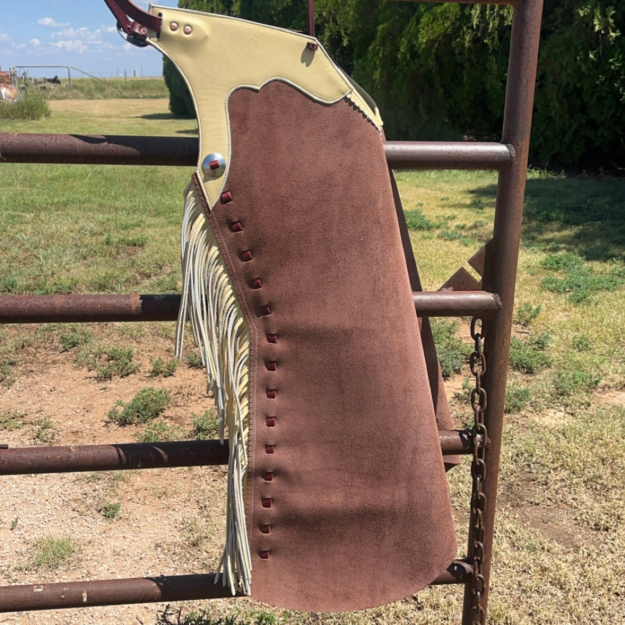 Arizona bells #60