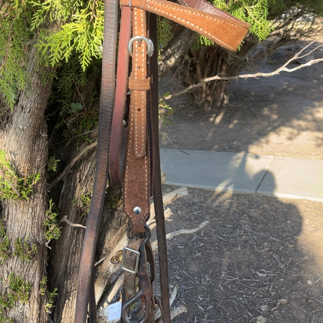 Bridle - No MM Dogbone