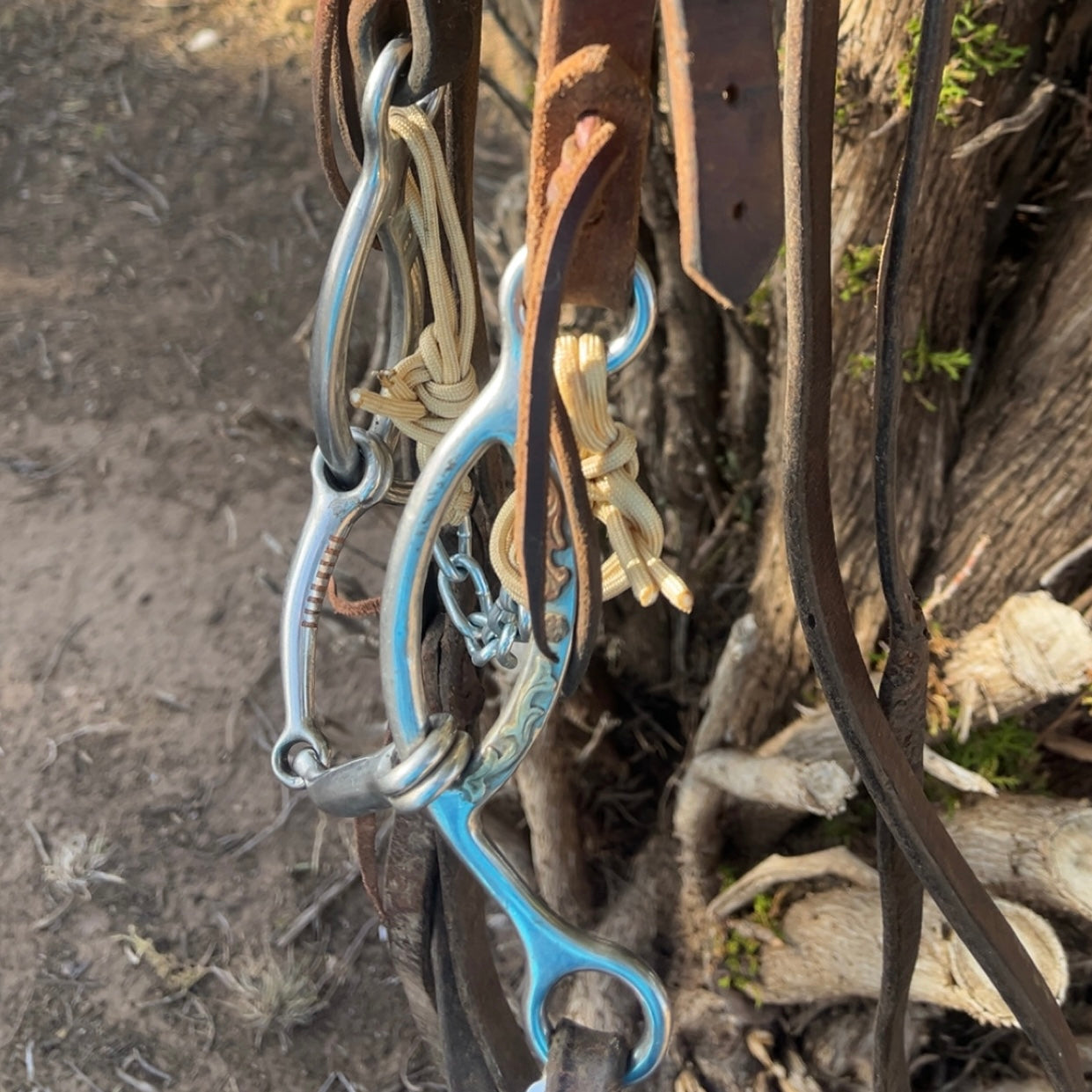 Bridle - Cactus Slide Gag