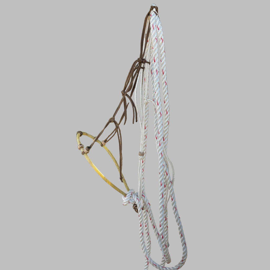CN Hackamore - Dark Tan Hangar