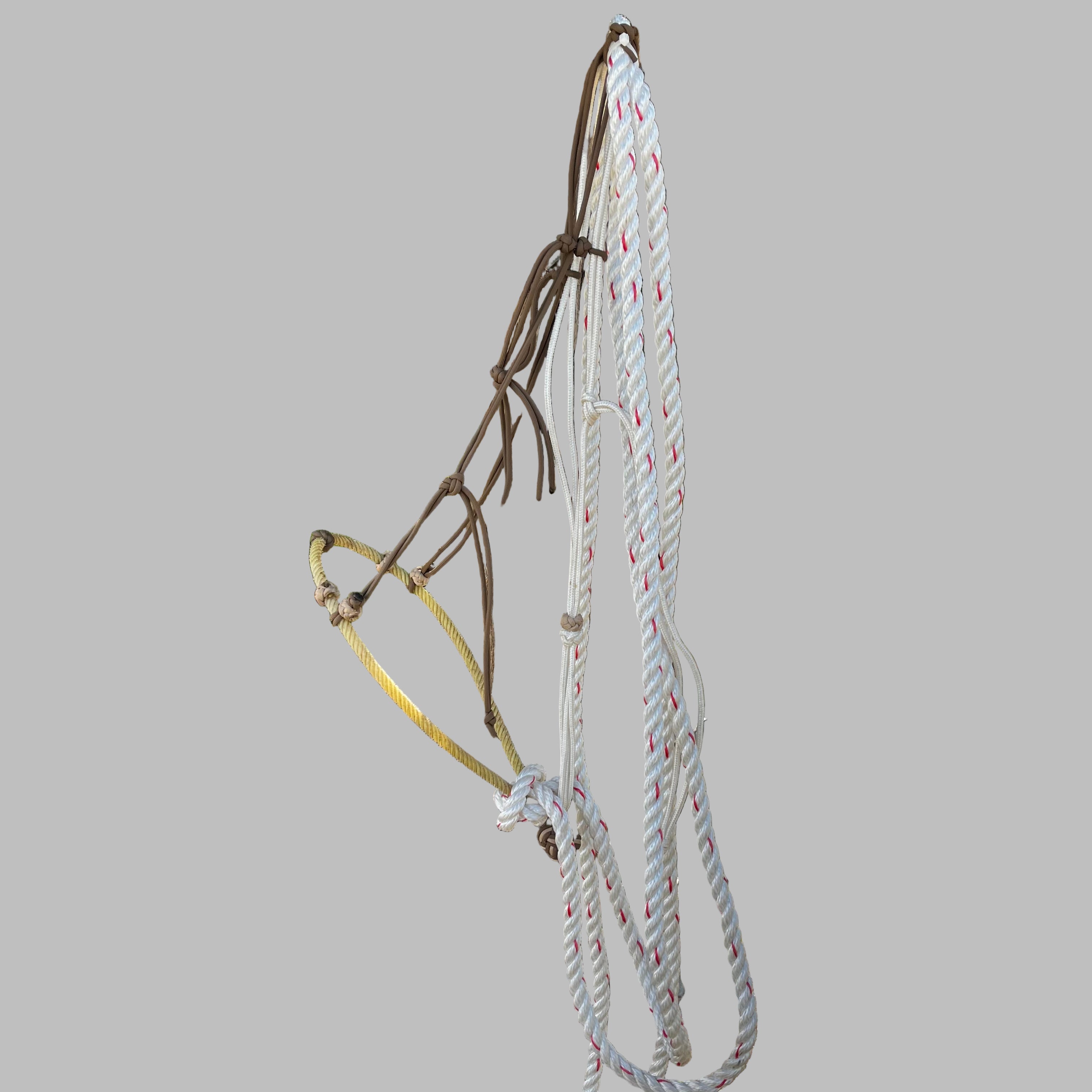 CN Hackamore - Dark Tan Hangar