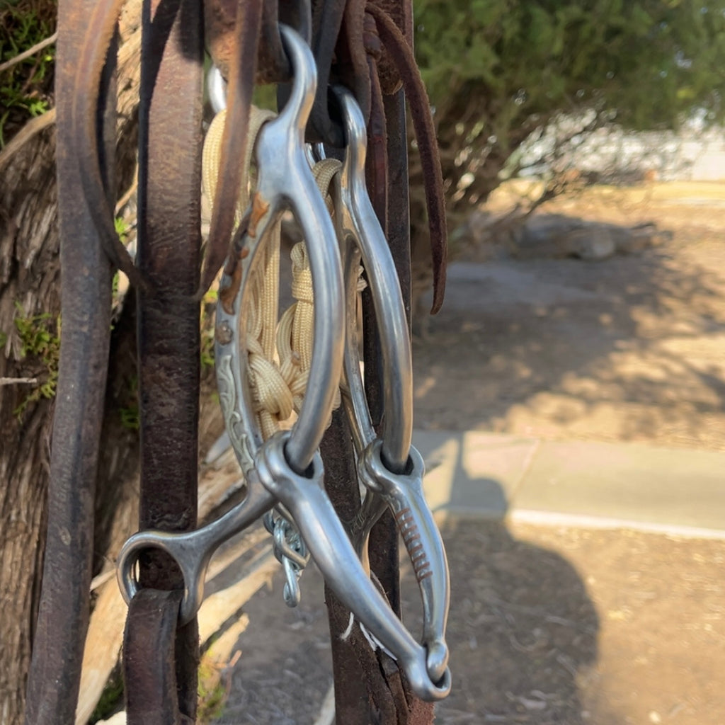 Bridle - Cactus Slide Gag
