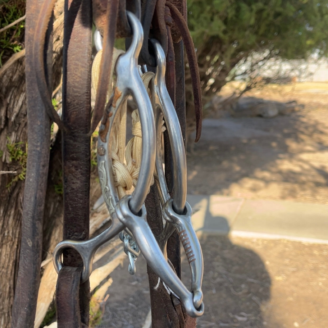 Bridle - Cactus Slide Gag