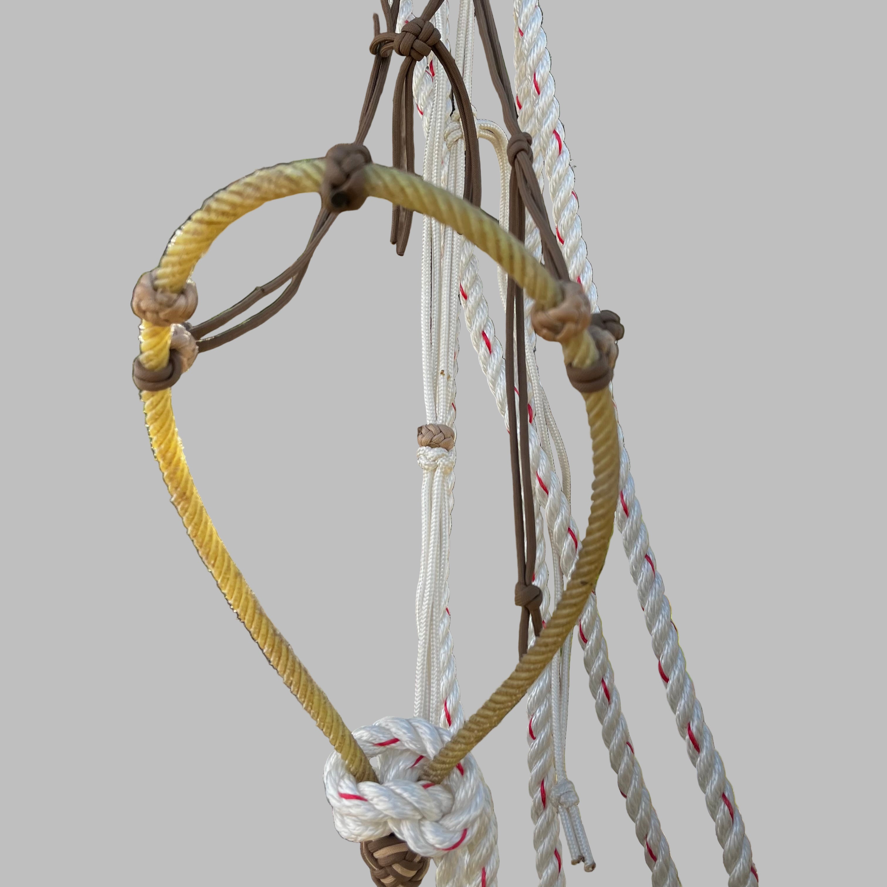 CN Hackamore - Dark Tan Hangar