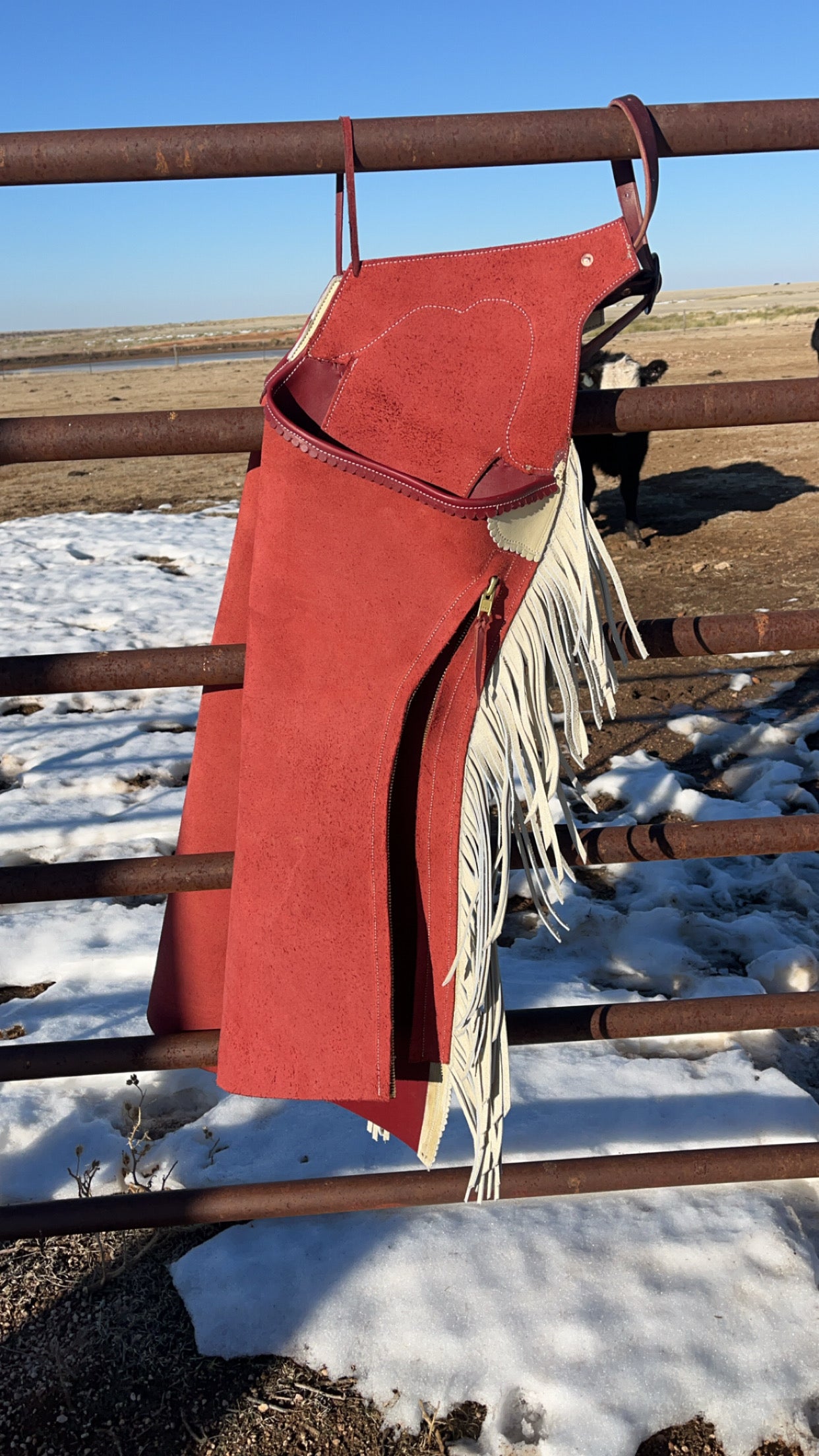 Closed Leg/ Cannon Bell