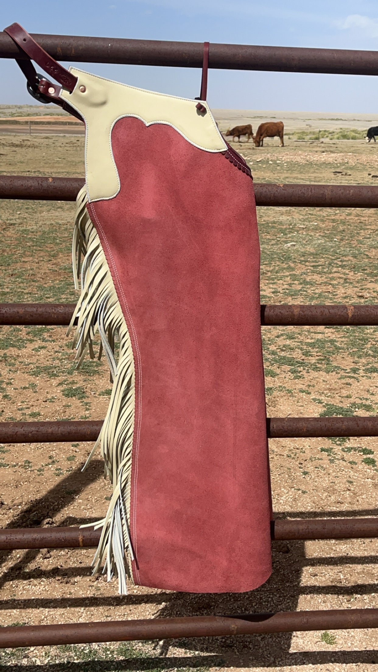 Closed Leg/ Cannon Bell