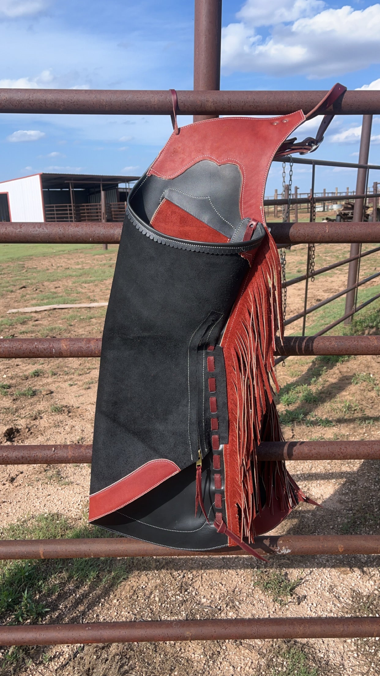 Arizona Bell