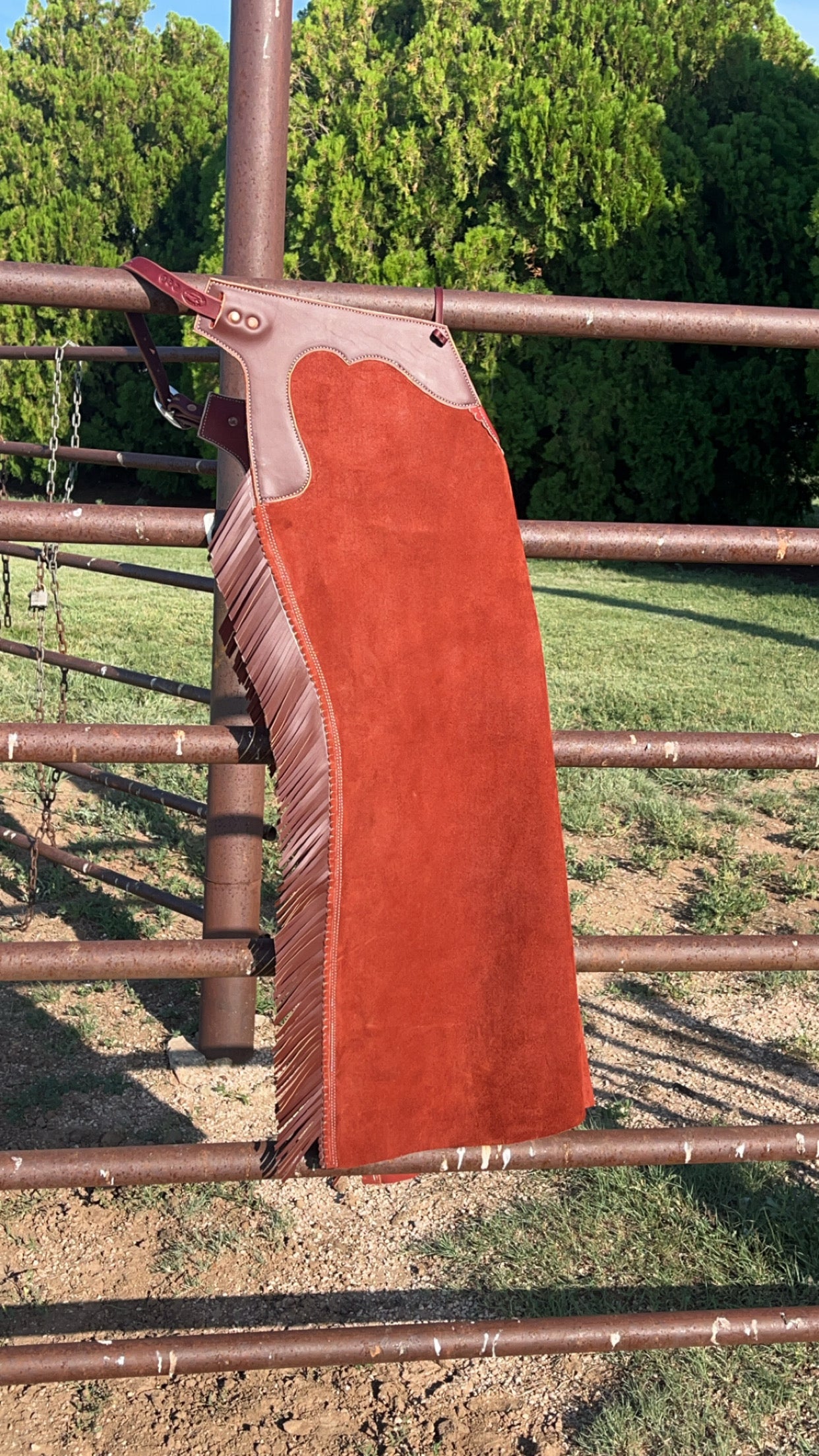 Closed Leg/ Cannon Bell