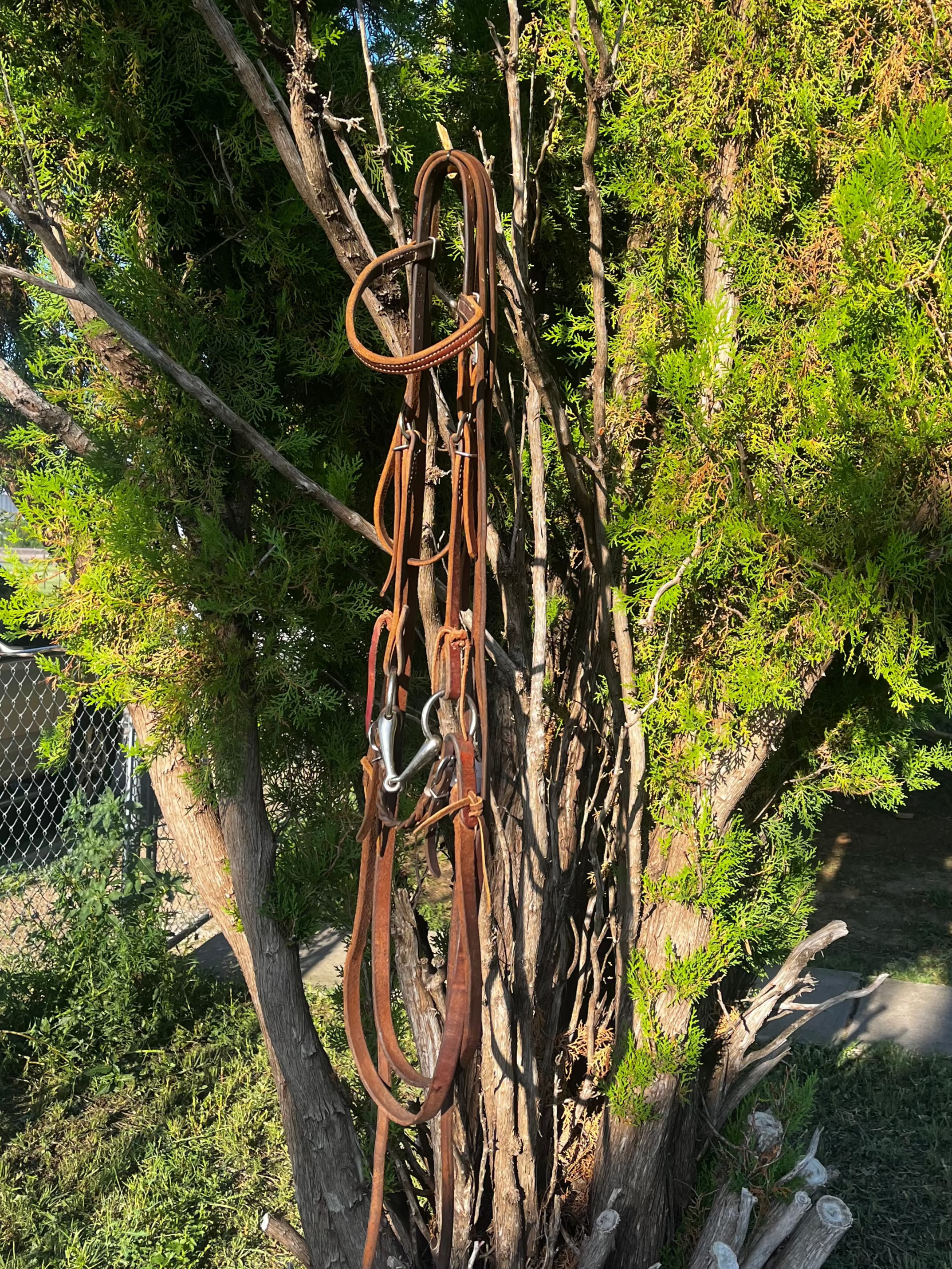 Bridal - Used Small O-ring Snaffle Rig