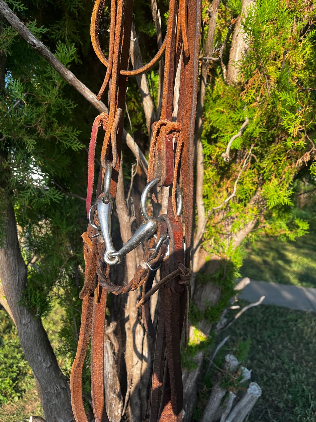 Bridal - Used Small O-ring Snaffle Rig