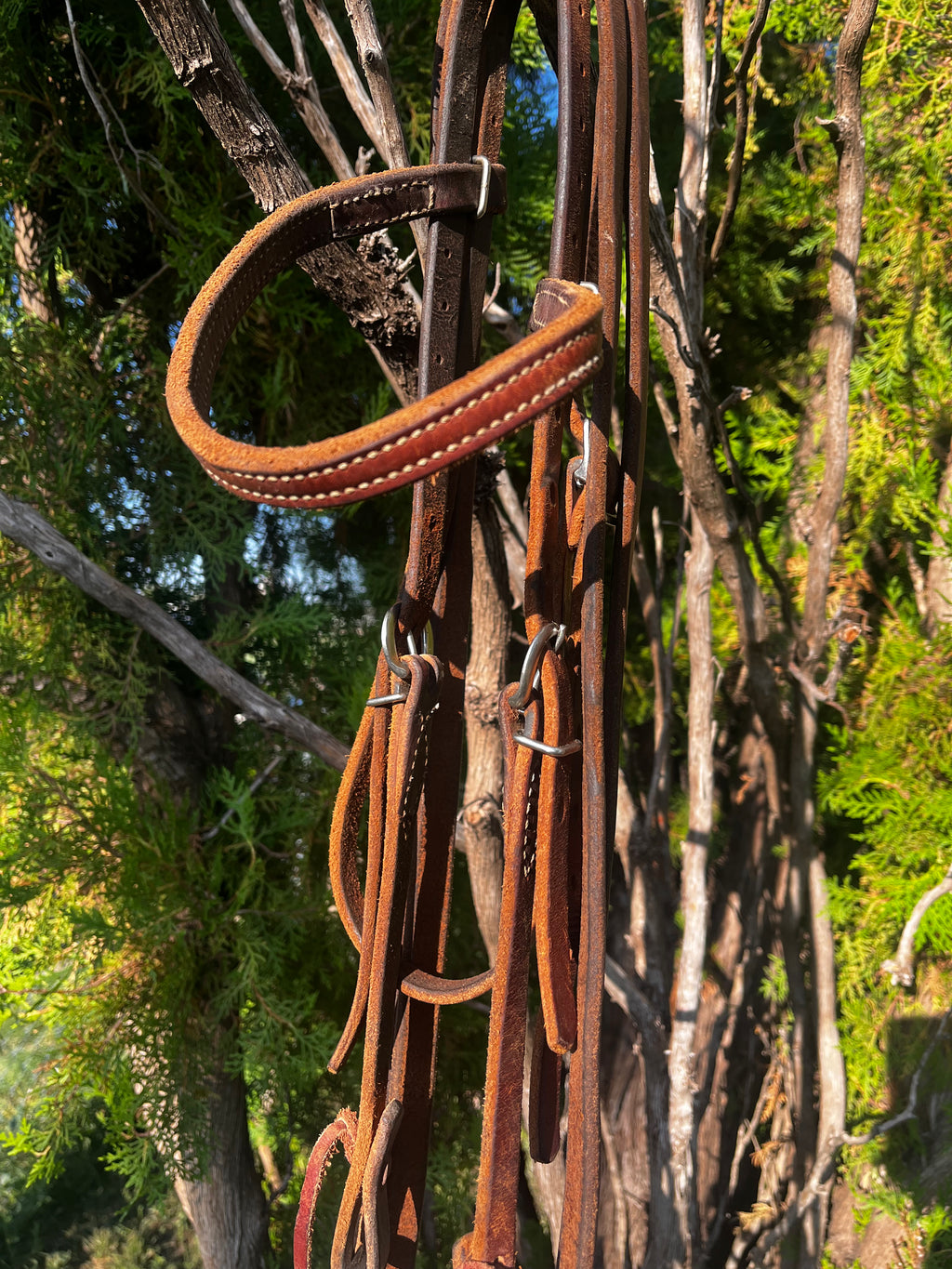 Bridal - Used Small O-ring Snaffle Rig