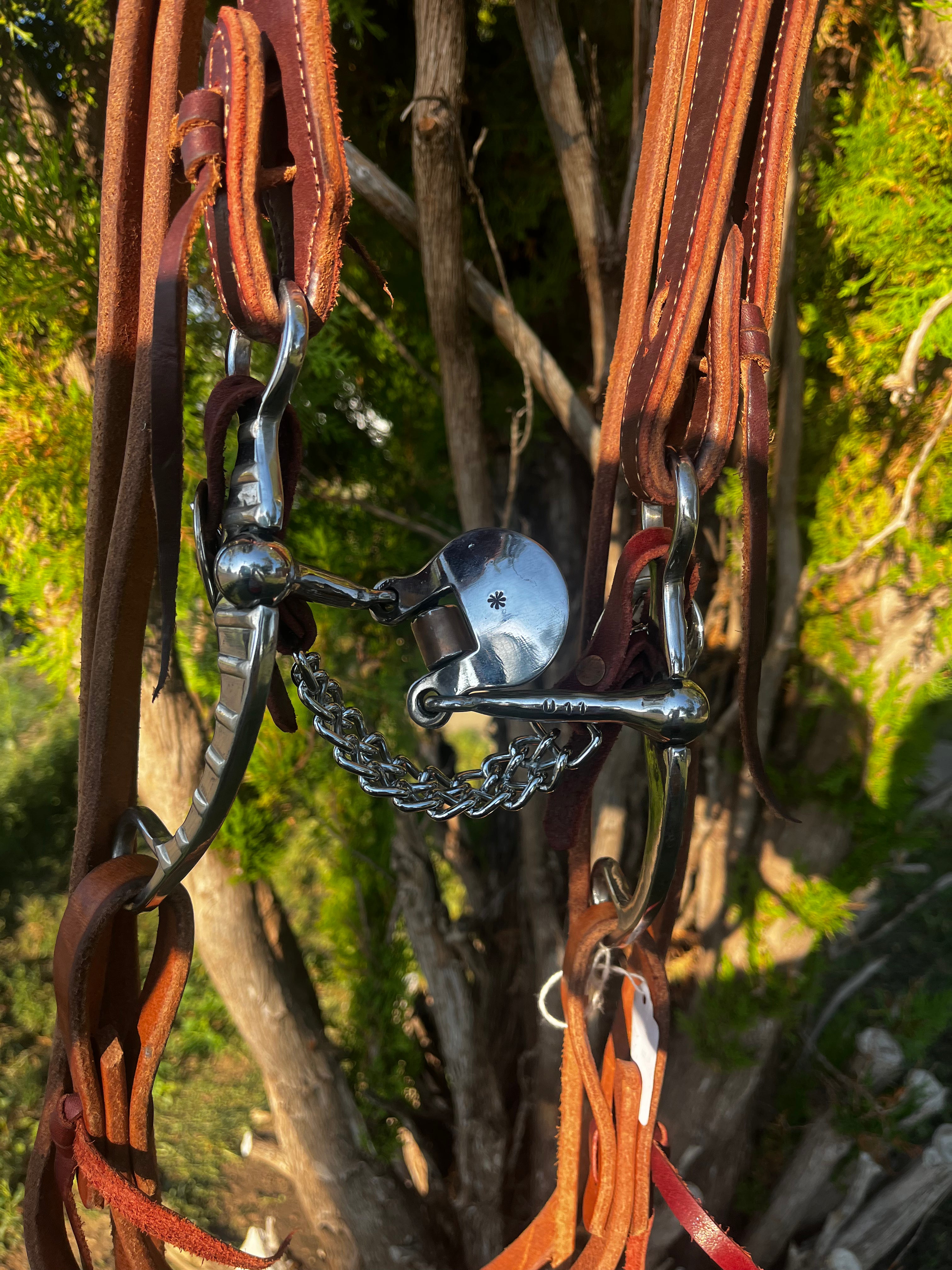 Bridal - Tyler Staley Spoon Rig
