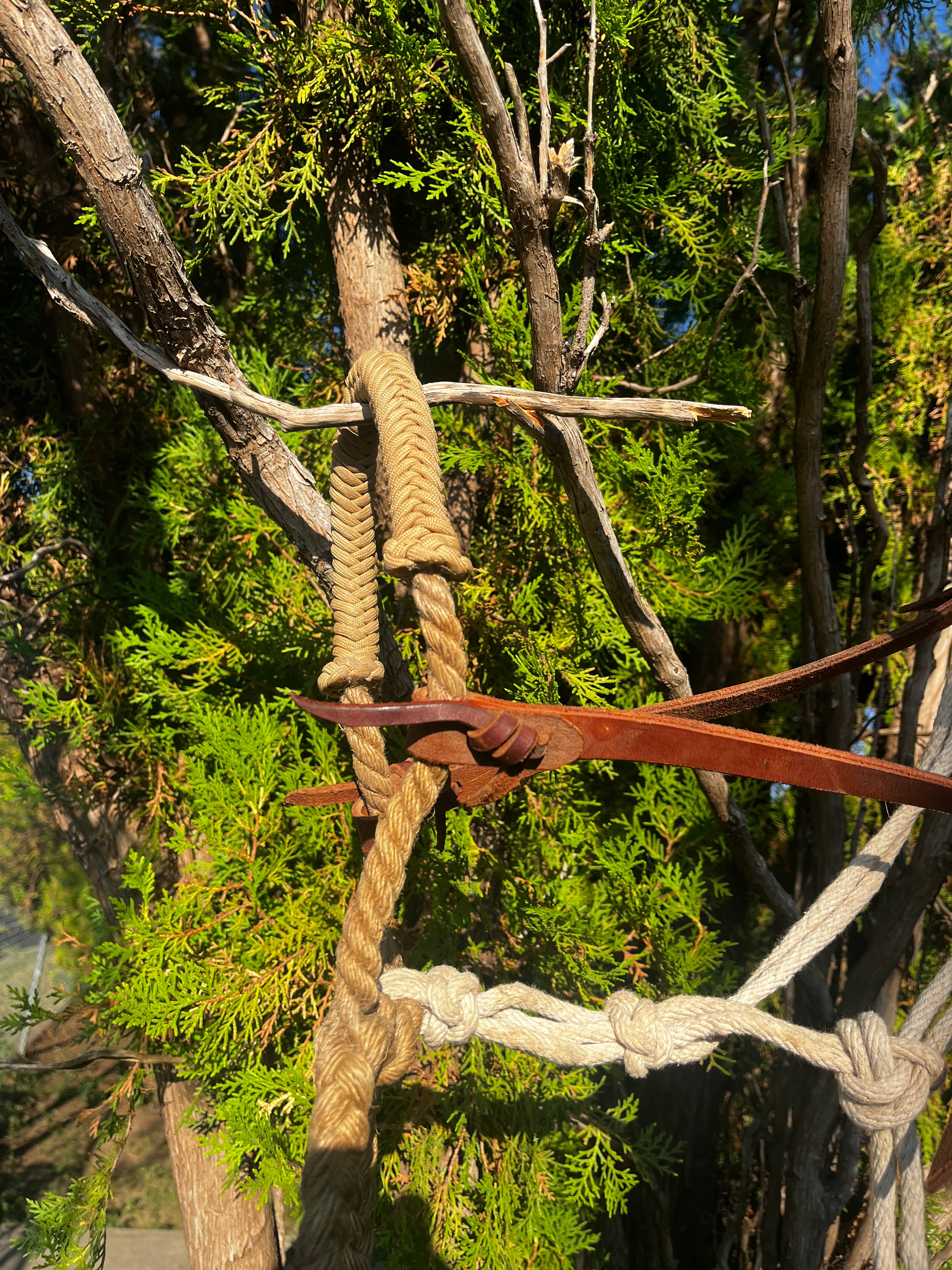 Bridal - Used Grass Hackamore