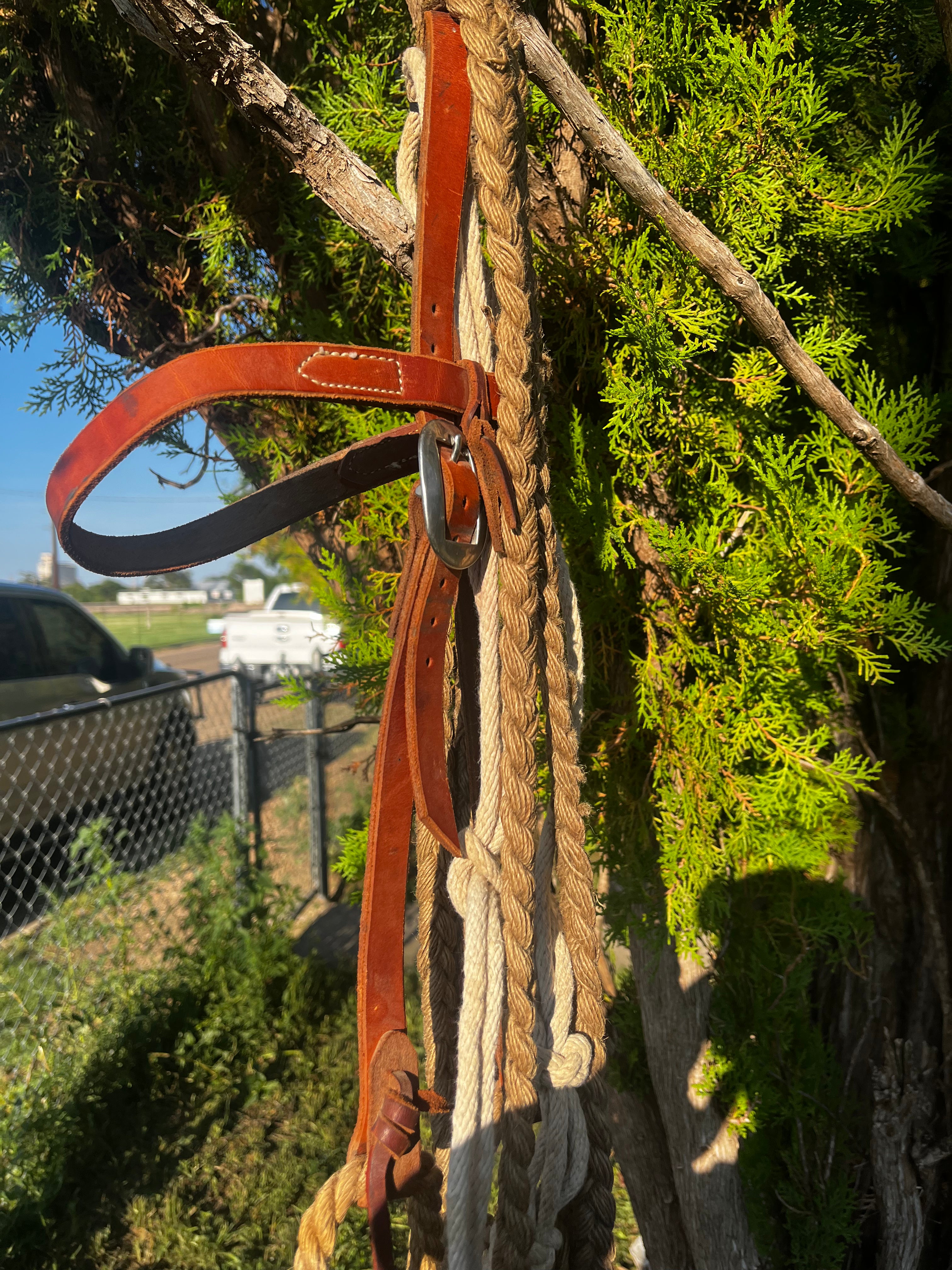 Bridal - Used Grass Hackamore