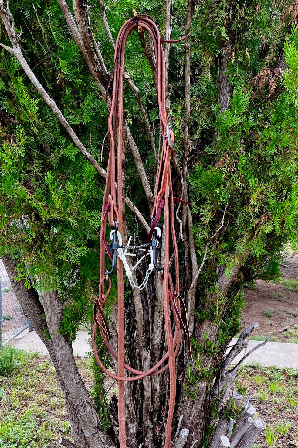 Bridle - Argentine Snaffle Rig