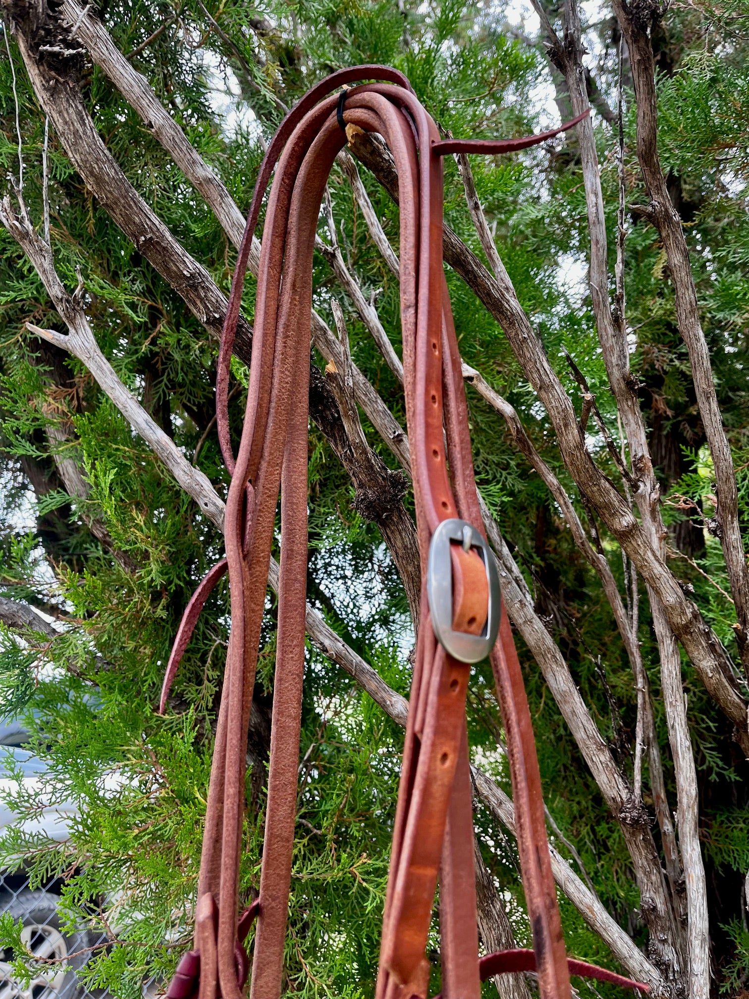 Bridle - Argentine Snaffle Rig