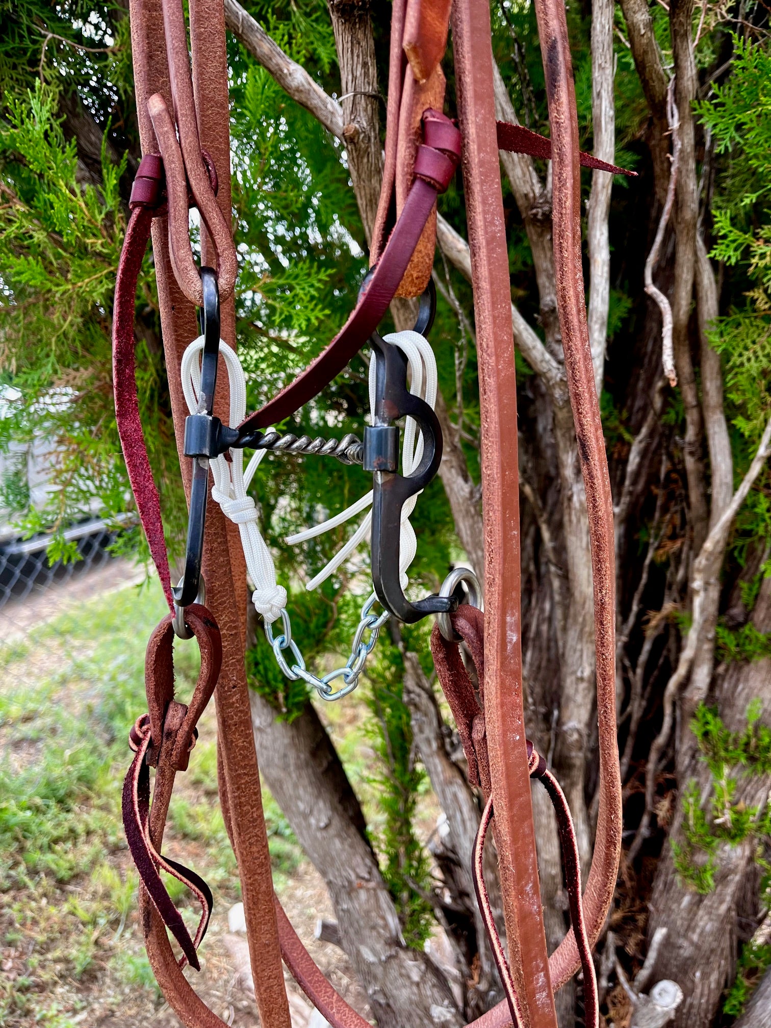 Bridle - Argentine Snaffle Rig