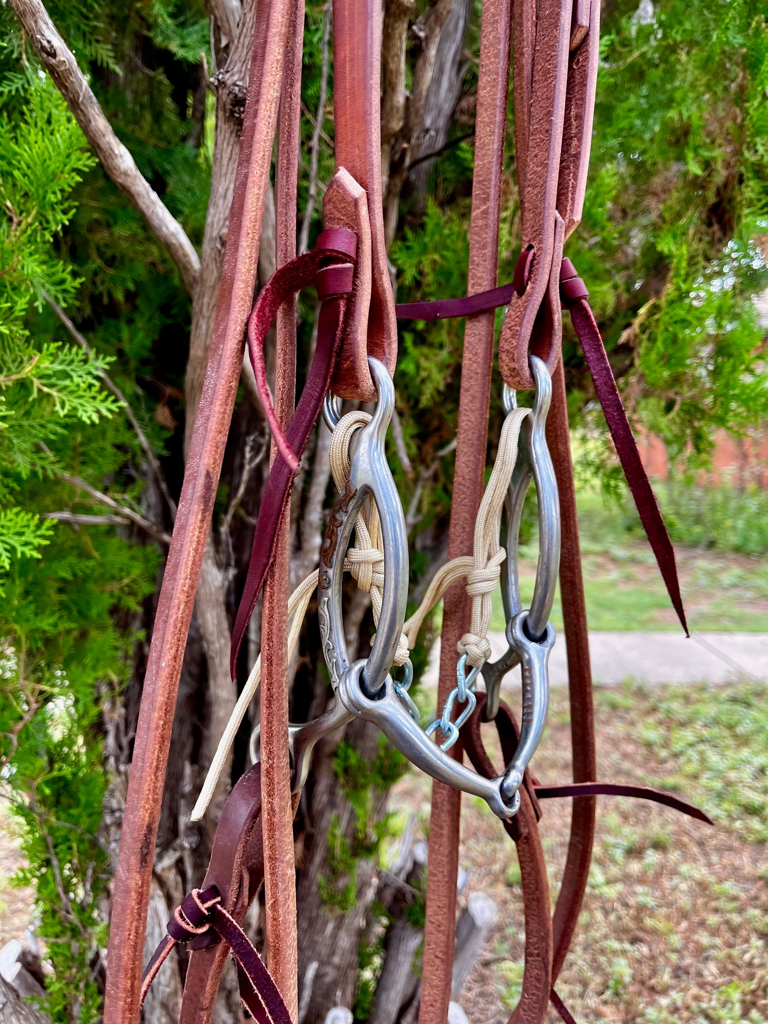 Bridle - Cactus Slide Gag
